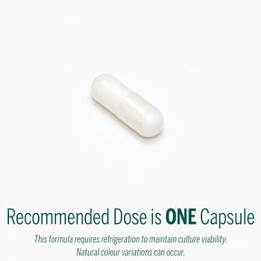 Genestra Brands - HMF Forte - Probiotic Formula - Supports Gastrointestinal Health and the Growth of Beneficial Bacteria - 120 Capsules