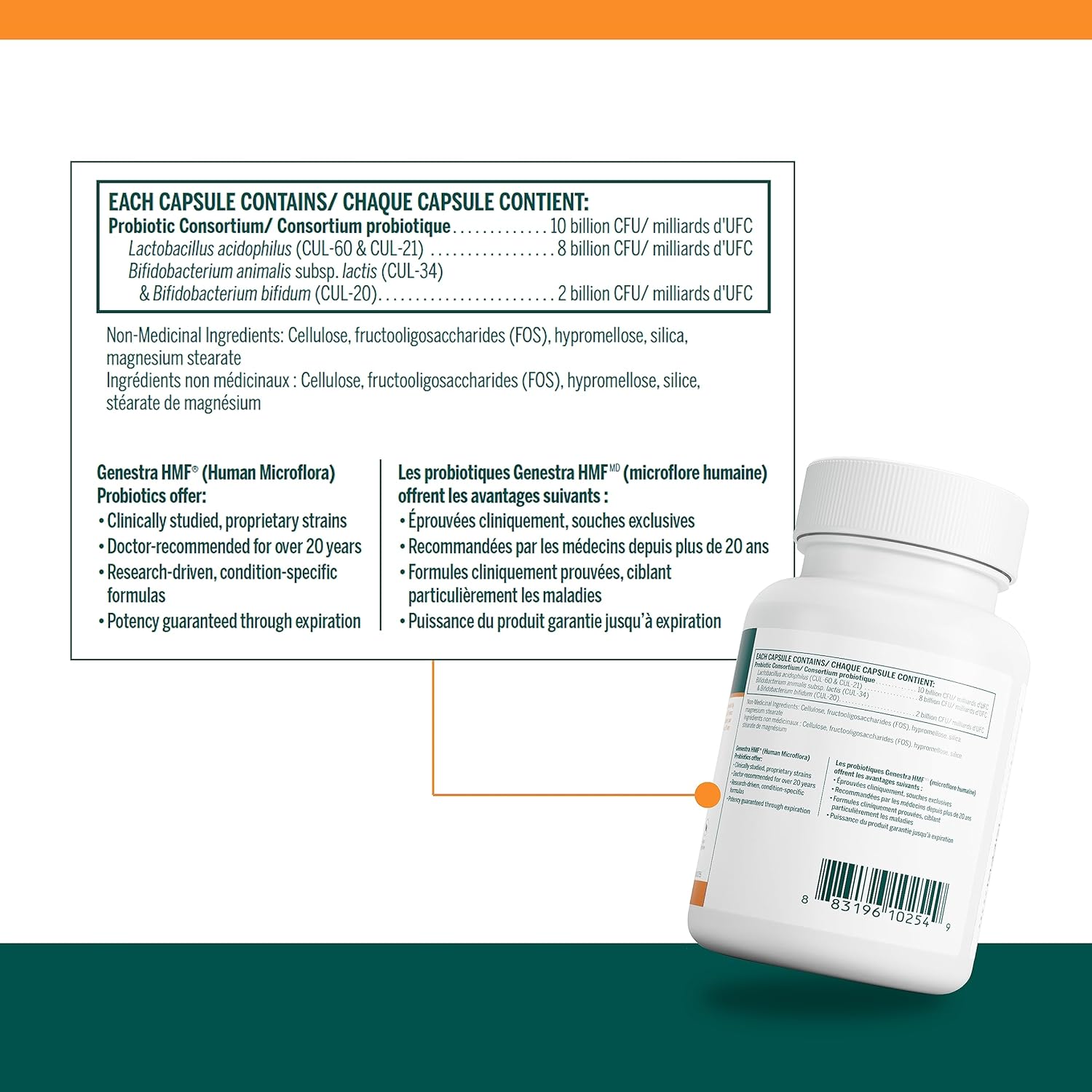 Genestra Brands - HMF Forte - Probiotic Formula - Supports Gastrointestinal Health and the Growth of Beneficial Bacteria - 120 Capsules