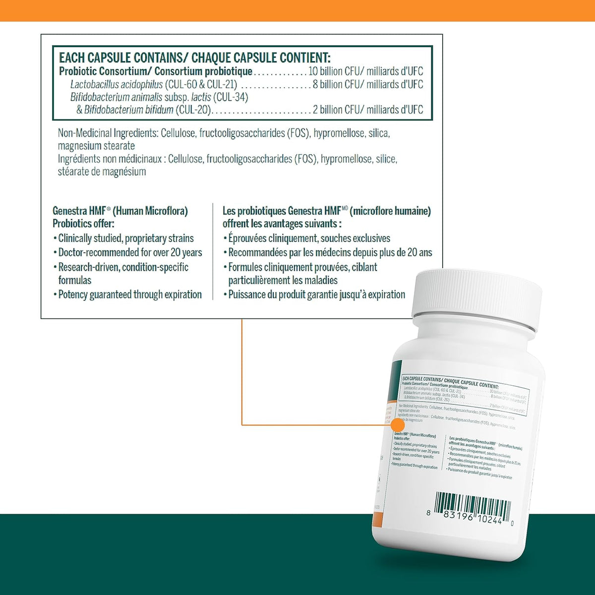 Genestra Brands - HMF Forte - Probiotic Formula - Supports Gastrointestinal Gut Health and Beneficial Bacteria Growth - 60 Capsules