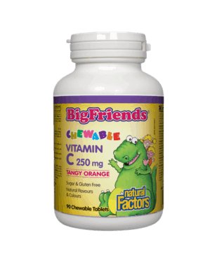 Natural Factors Big Friends Chewable Vitamin C 250mg Tangy Orange 90 Chewable Tablets - Pure Buys - Pure Buys