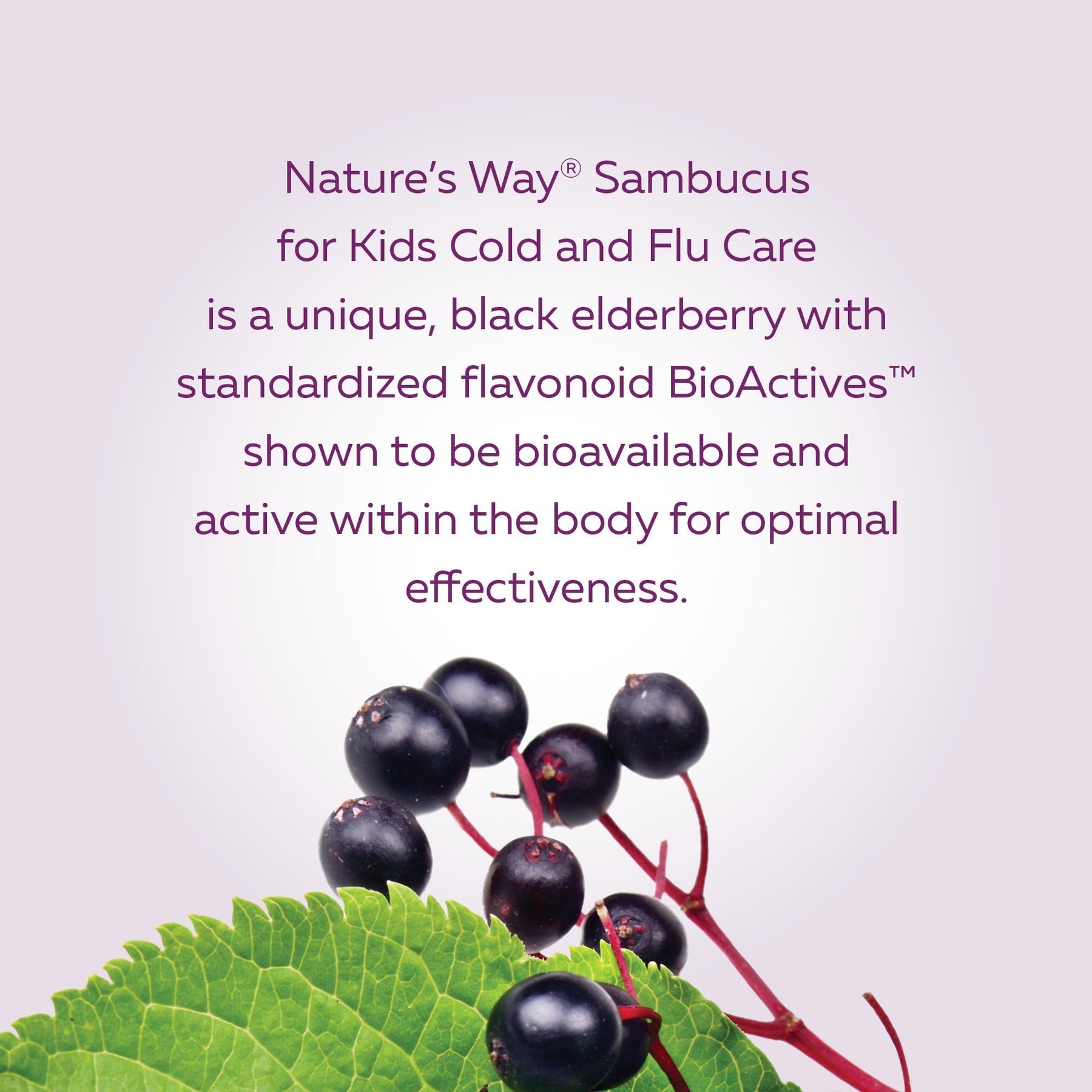 Nature's Way Sambucus Kids Immune Elderberry Gummies 60 Gummies - Pure Buys - Pure Buys