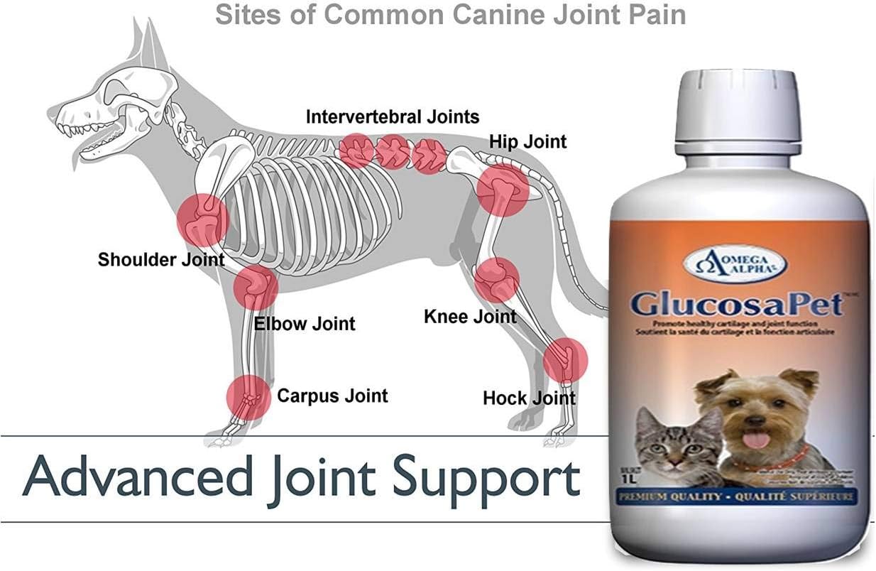 Omega Alpha - GlucosaPet - Promote Pets' Healthy Cartilage and Joint Function (500 ml & 1L) - Pure Buys - Pure Buys