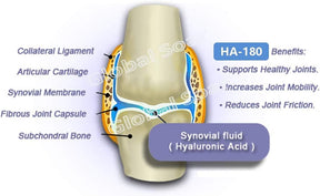 Omega Alpha Pets - HA-180 (Hyaluronic Acid) for Performance and Mobility - 250ml - Pure Buys - Pure Buys