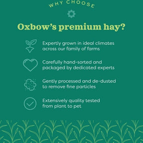 Oxbow Alfalfa Hay - Pure Buys - Pure Buys