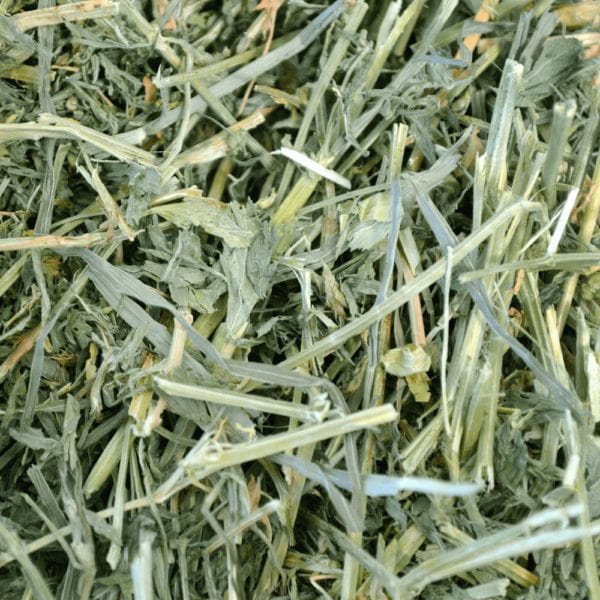 Oxbow Alfalfa Hay - Pure Buys - Pure Buys